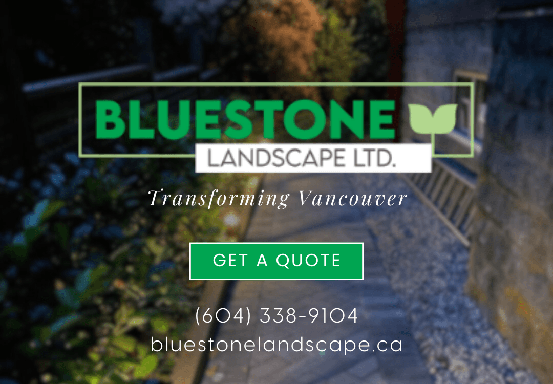 landscaping by Bluestone Landscape Ltd in Metrotown