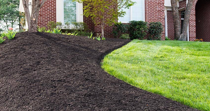 landscaping by Bluevalley in Scarborough Town Centre