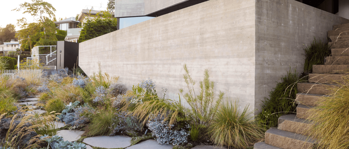 landscape design by Botanica Design in Mount Pleasant