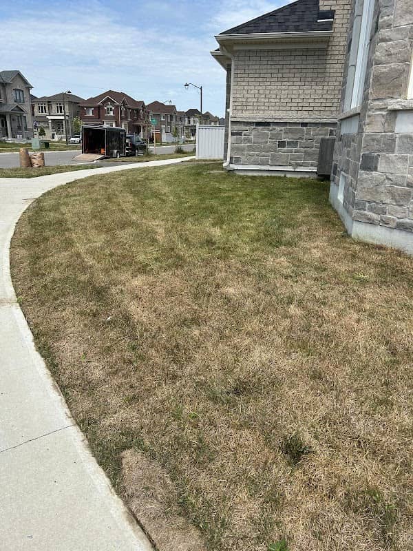 lawn care by BrightScape Property Services in Pickering