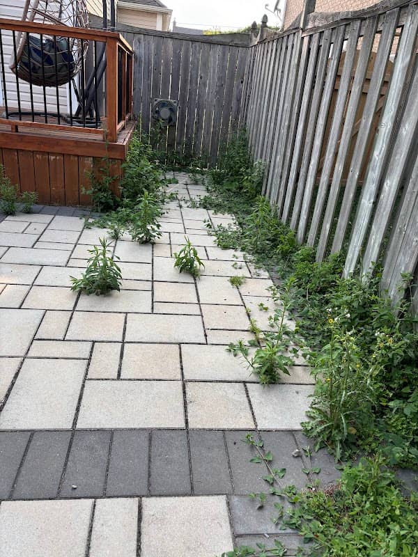 BrightScape Property Services, photograph 3 of Pickering