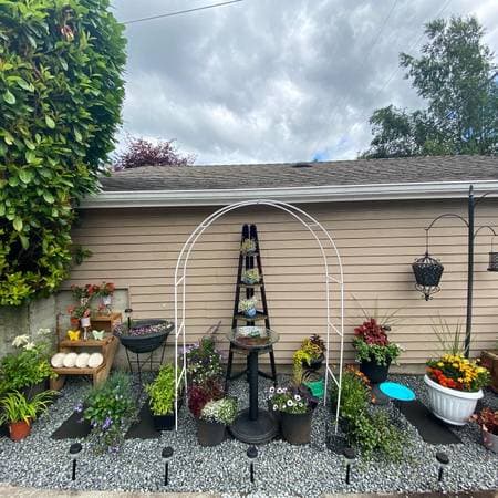 landscaping by Bucks with Trucks Landscaping in Coquitlam
