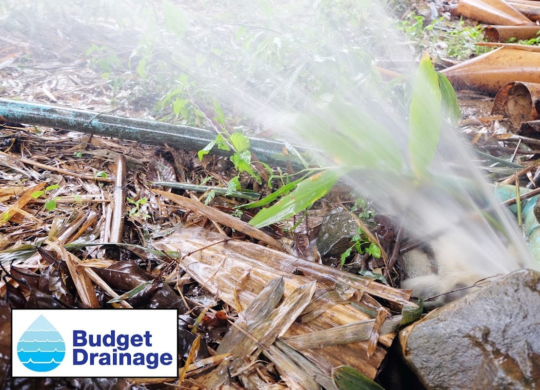 excavating & site prep by Budget Drainage in Dundarave