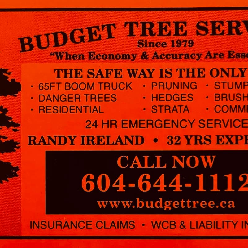 tree services by Budget Tree Service in Port Coquitlam
