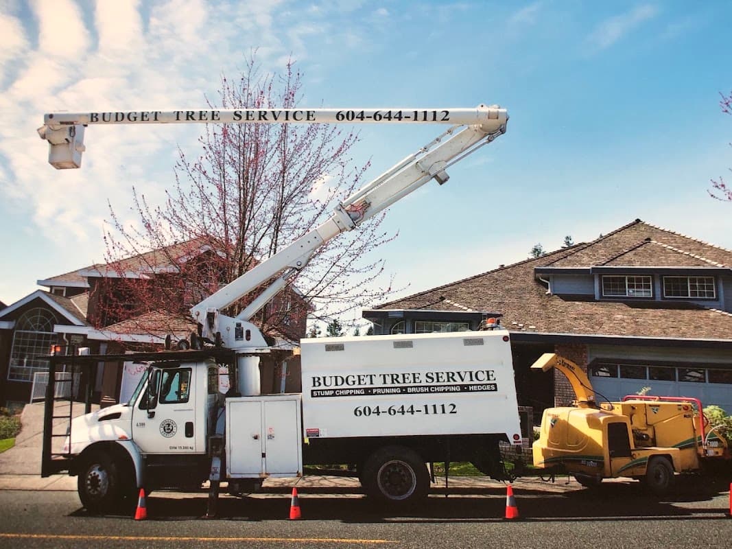 Budget Tree Service, photograph 2 of Port Coquitlam