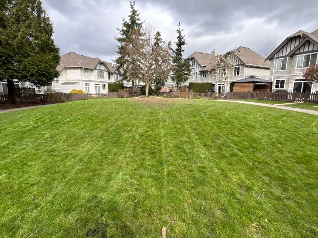 landscaping by Busybee Gardening in South Surrey