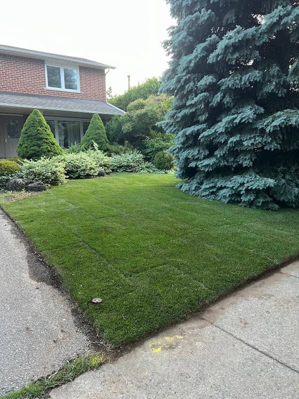 Caribou Cuts Lawn Care, photograph 2 of Mississauga