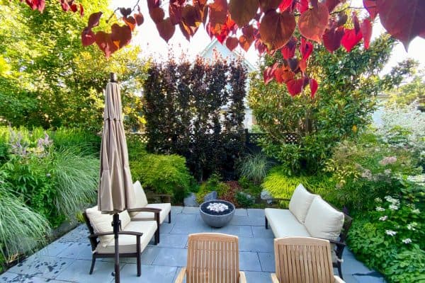Carrot Top Gardens - Stephen Stewart Landscape Design, photograph 5 of Commercial Drive