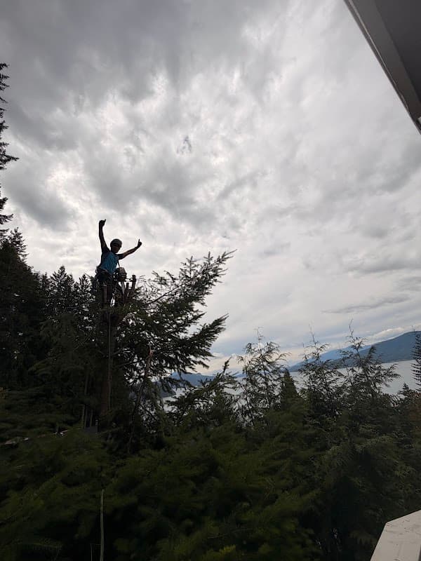 Chikara Tree Services, photograph 2 of Dundarave