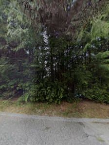 Chikara Tree Services, photograph 6 of Dundarave