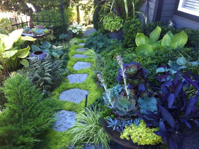 landscaping by CJs Gardening in Lonsdale