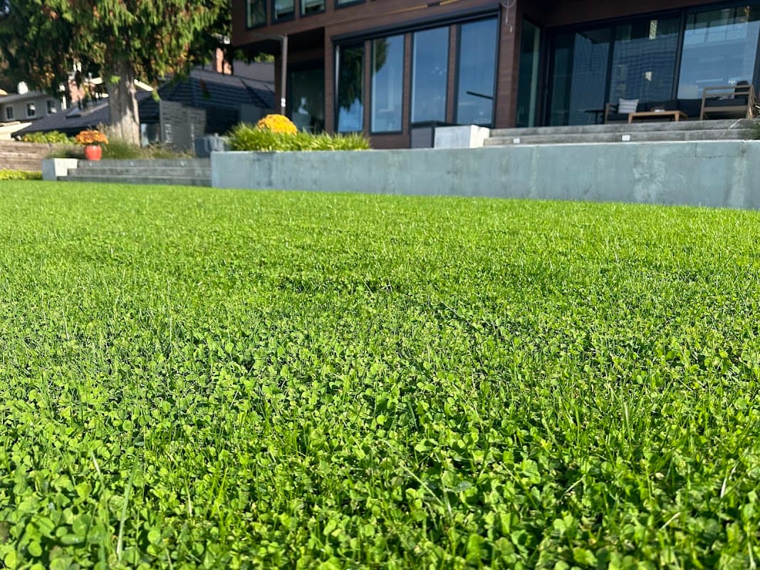 Clover Turf, photograph 2 of Ladner