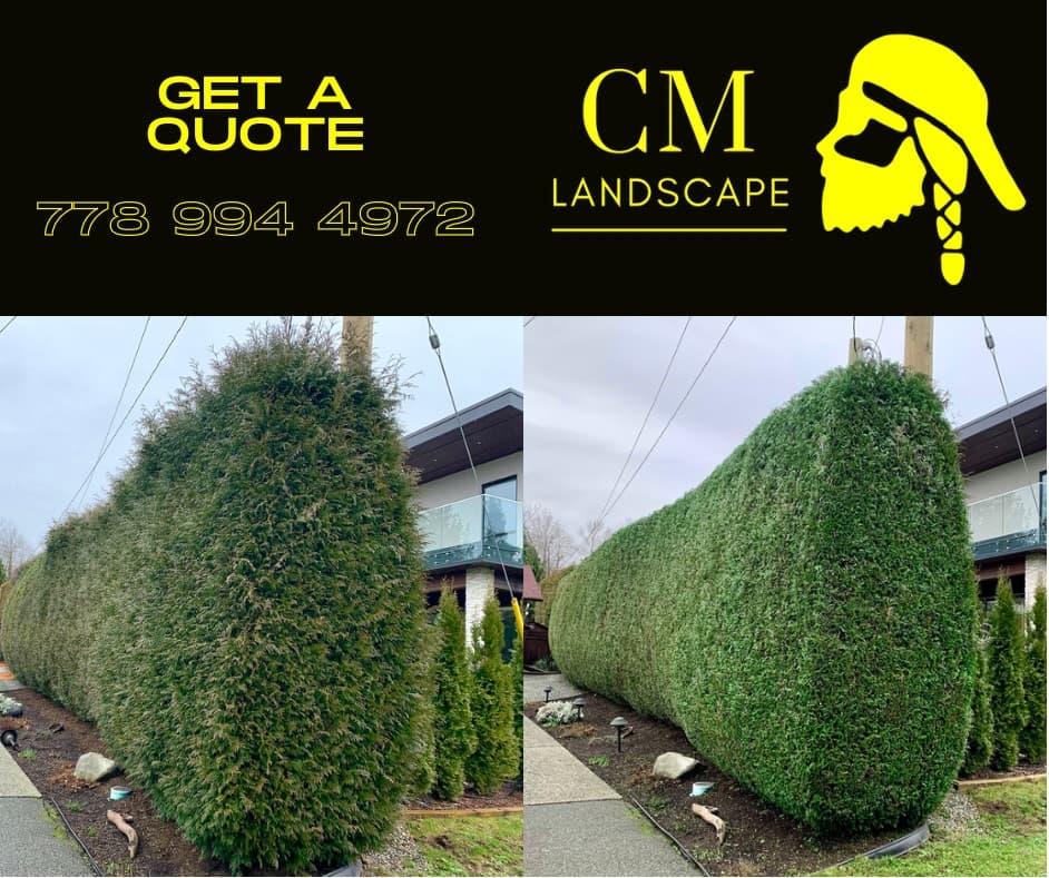 CM Landscape, photograph 2 of Port Coquitlam