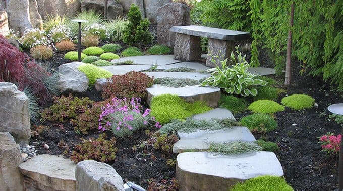 Coastal Design Landscape (Port Moody), photograph 3 of Port Moody