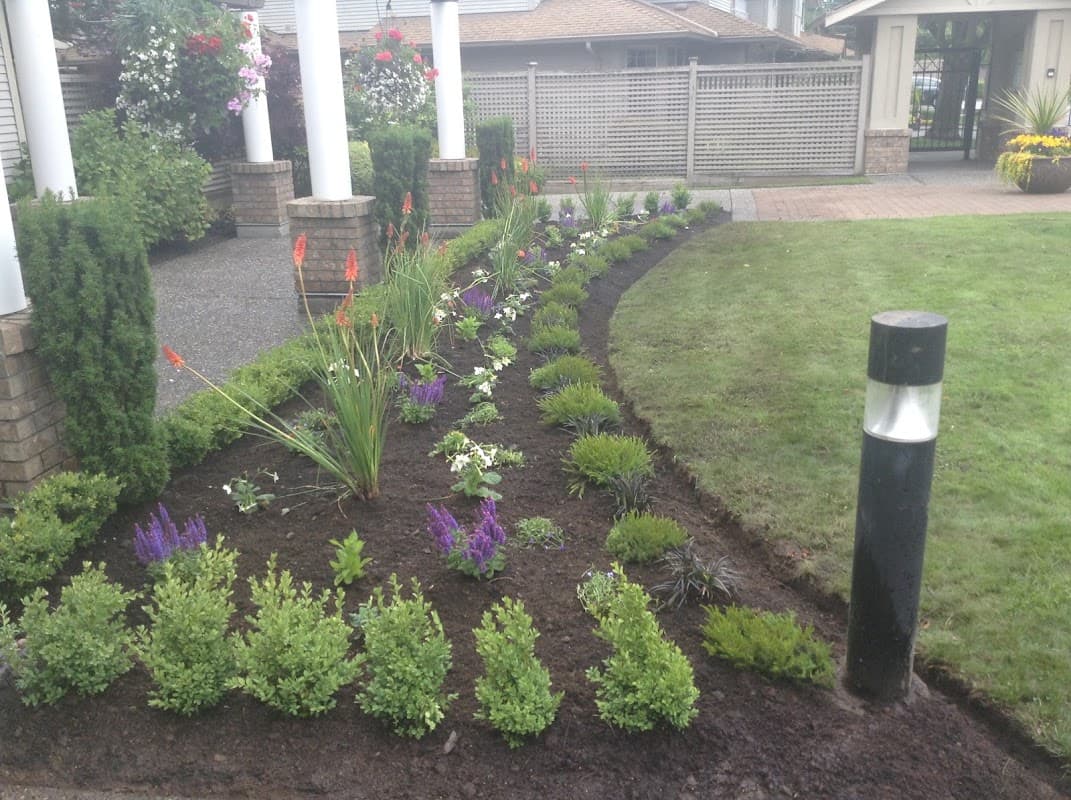 landscaping by Contour Landscaping Ltd. in Metrotown