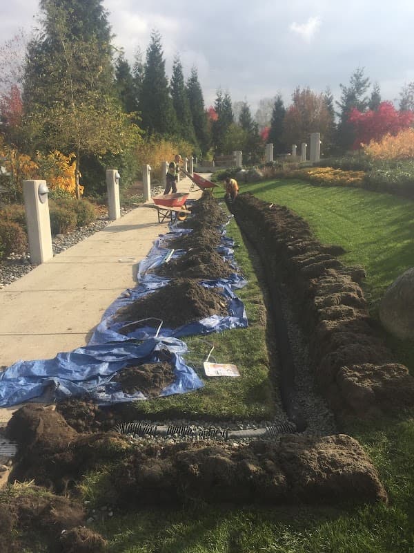 Contour Landscaping Ltd., photograph 3 of Metrotown