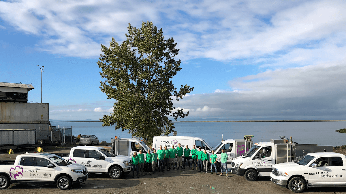 landscaping by Crocus Landscaping in Steveston