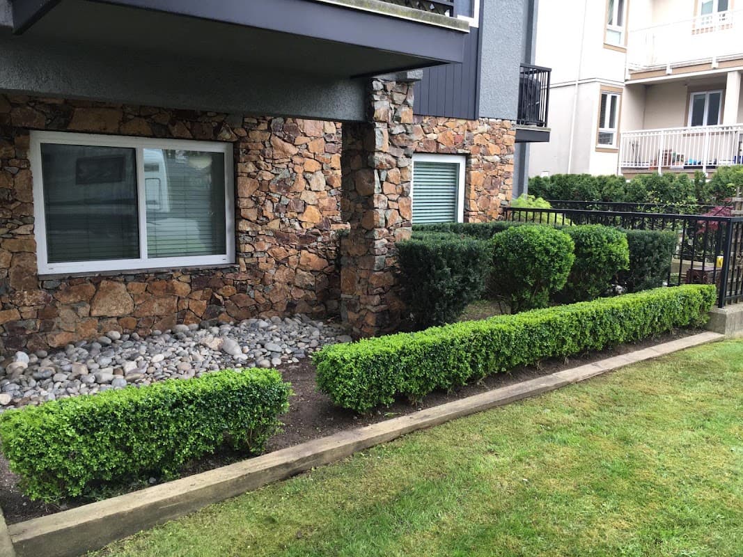 landscaping by Cutting Hedge Ltd in Marpole