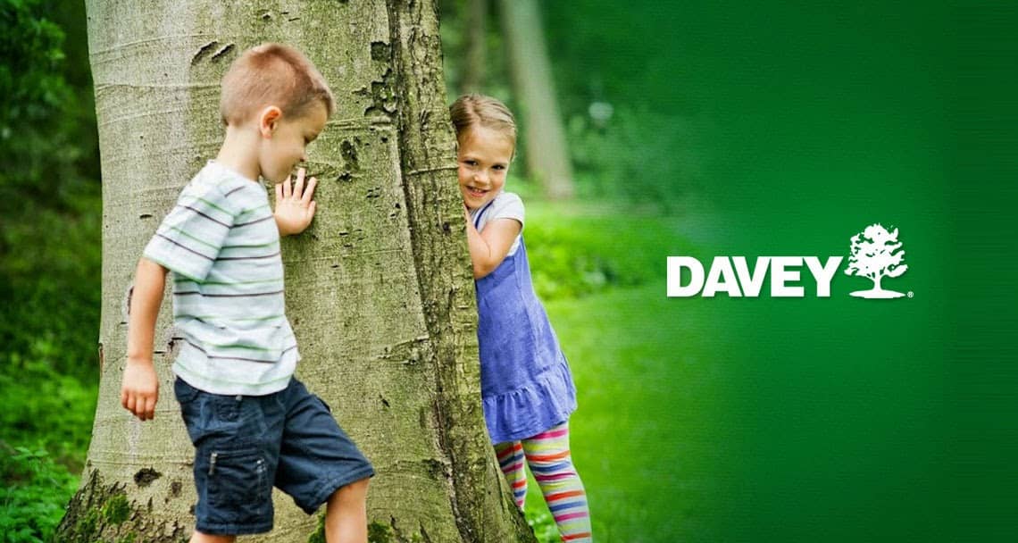 tree services by Davey Tree Expert Co. of Canada, Limited in Pickering