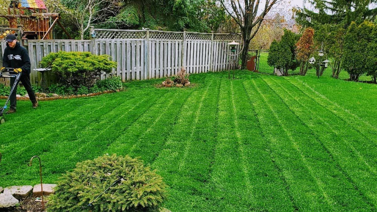 Dependable Lawn Care, photograph 3 of Oakville