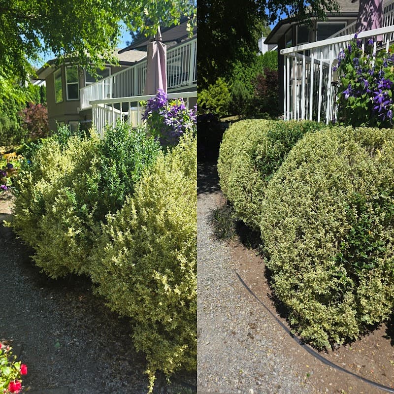 DesRoche Property Maintenance & Landscaping, photograph 2 of Maple Ridge