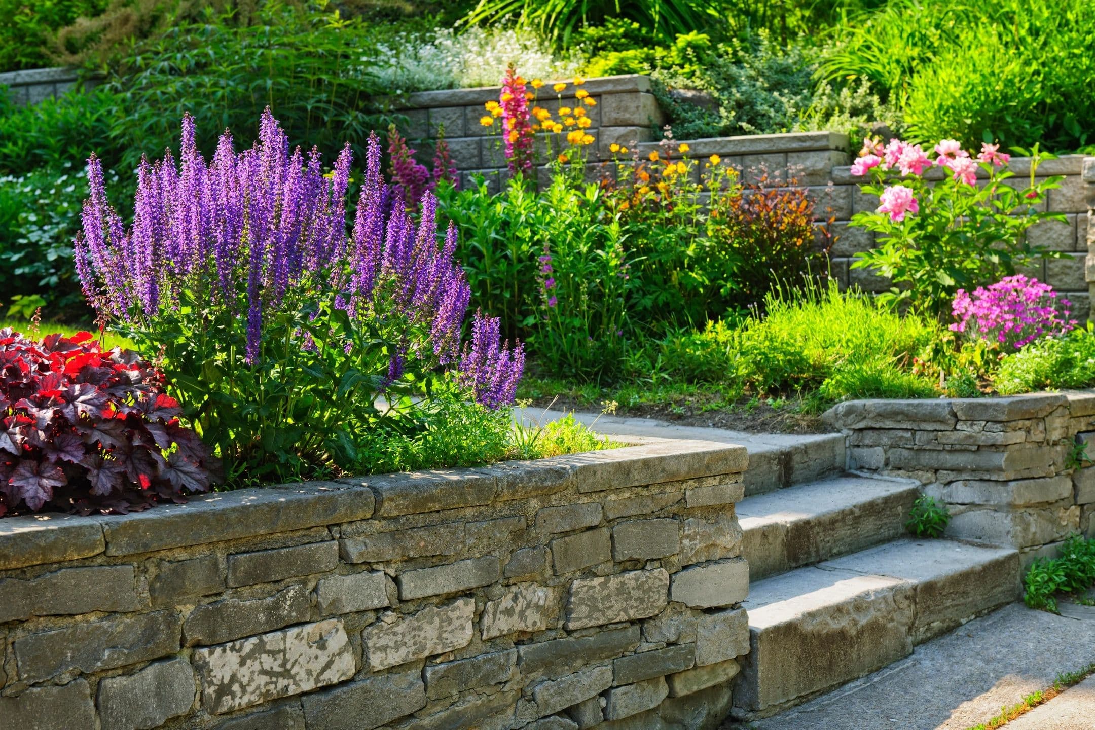 Diamante Lawnscapes, photograph 3 of Ladner