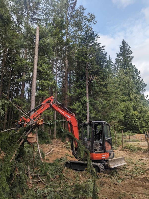 excavating & site prep by Dirt Empire Excavation & Landscape in Langley