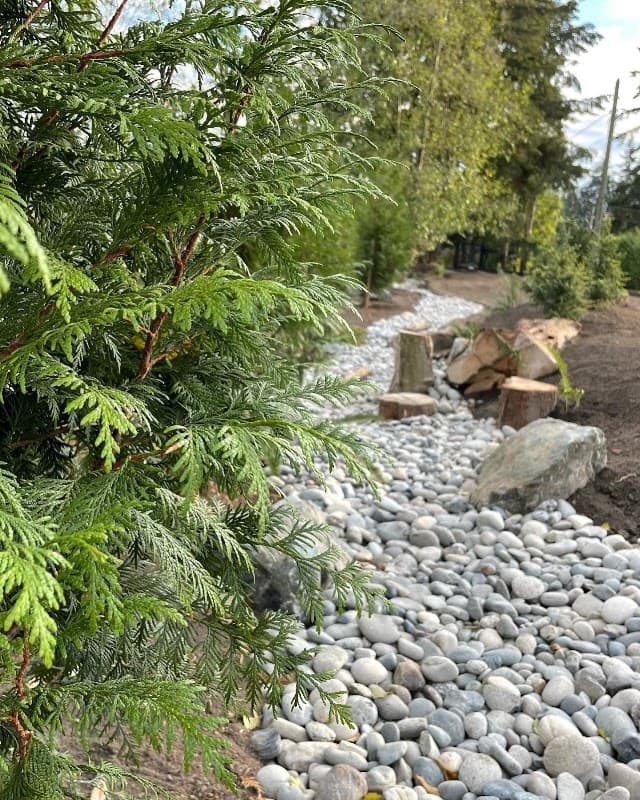 DLM Landscape, photograph 4 of Cloverdale