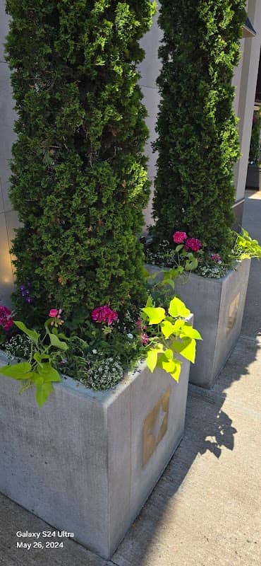 landscape design by Dogwood Designs in Islington-City Centre West