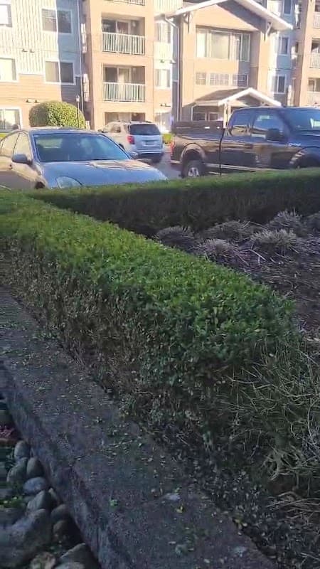 Dom&Home Landscaping, photograph 3 of Abbotsford