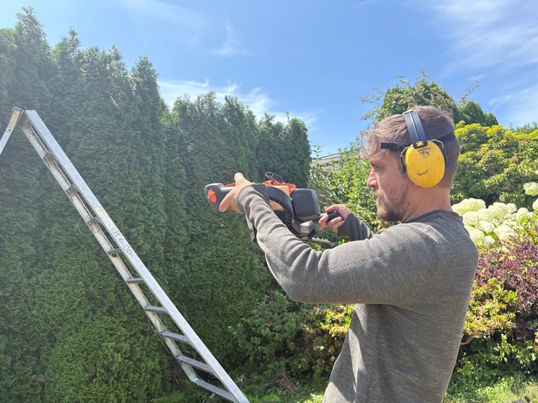 landscaping by Dr. Garden Landscape Services in Burnaby North