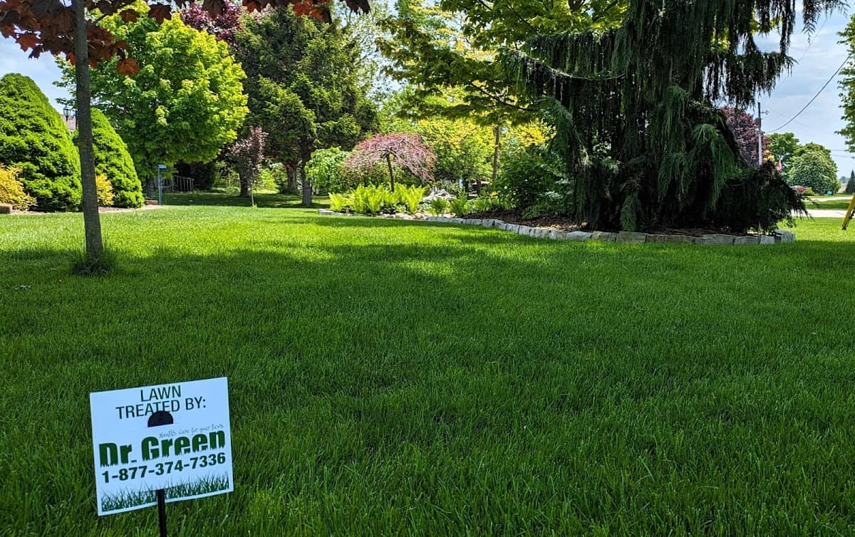 lawn care by Dr. Green Services in Islington-City Centre West