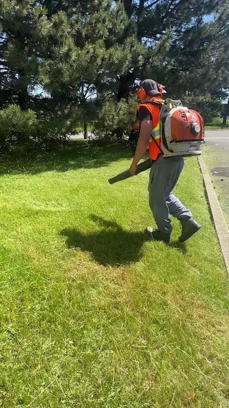 Dw Landscaping, photograph 3 of Richmond Hill