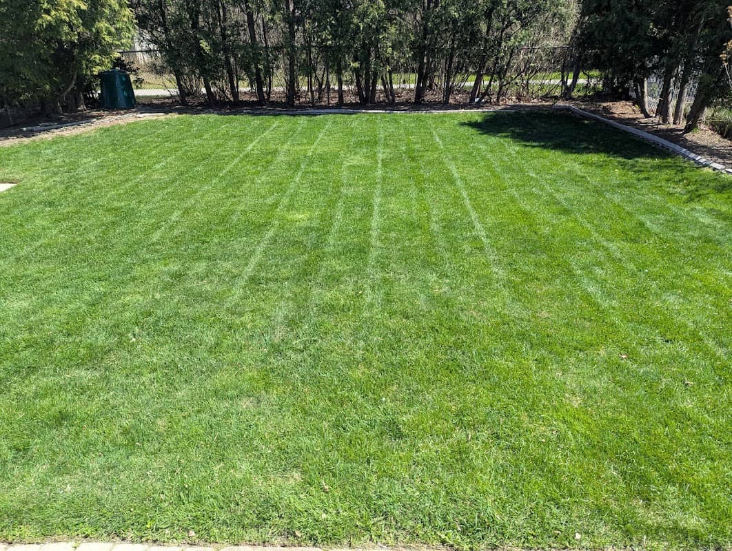 lawn care by E'z Lawn & Snow Services in Islington-City Centre West