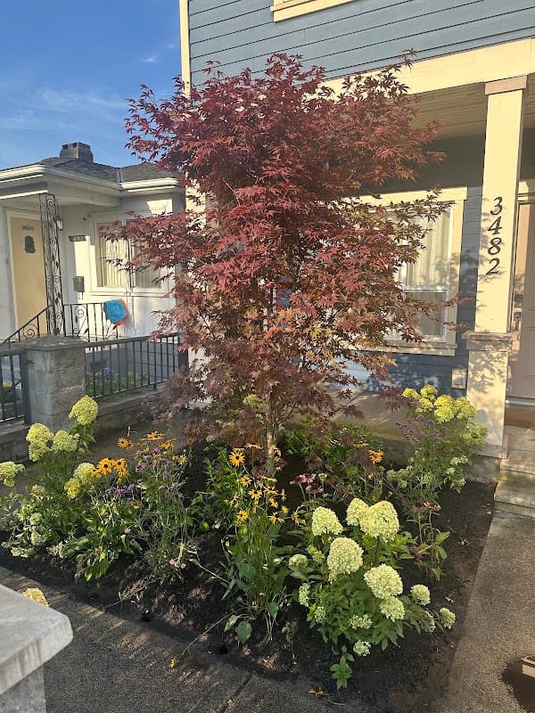 EcoBridge Landscape Inc., photograph 2 of Strathcona