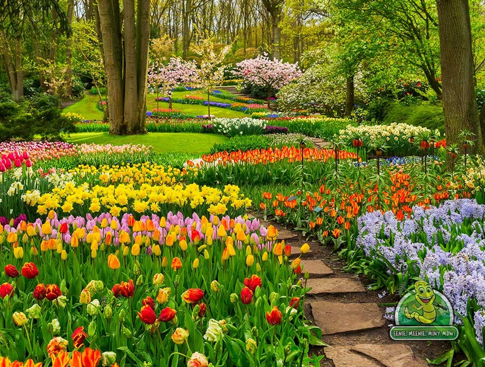 landscaping by Eenie Meenie Miny Mow in Ladner