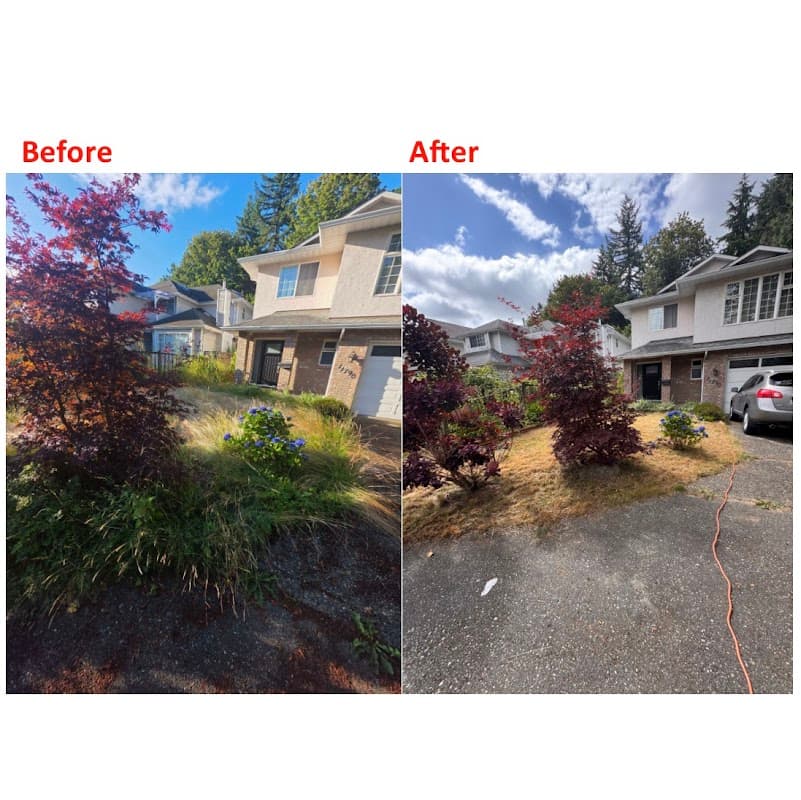 lawn care by Eka Acres Landscaping in Surrey