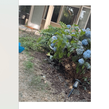 Eka Acres Landscaping, photograph 2 of Surrey