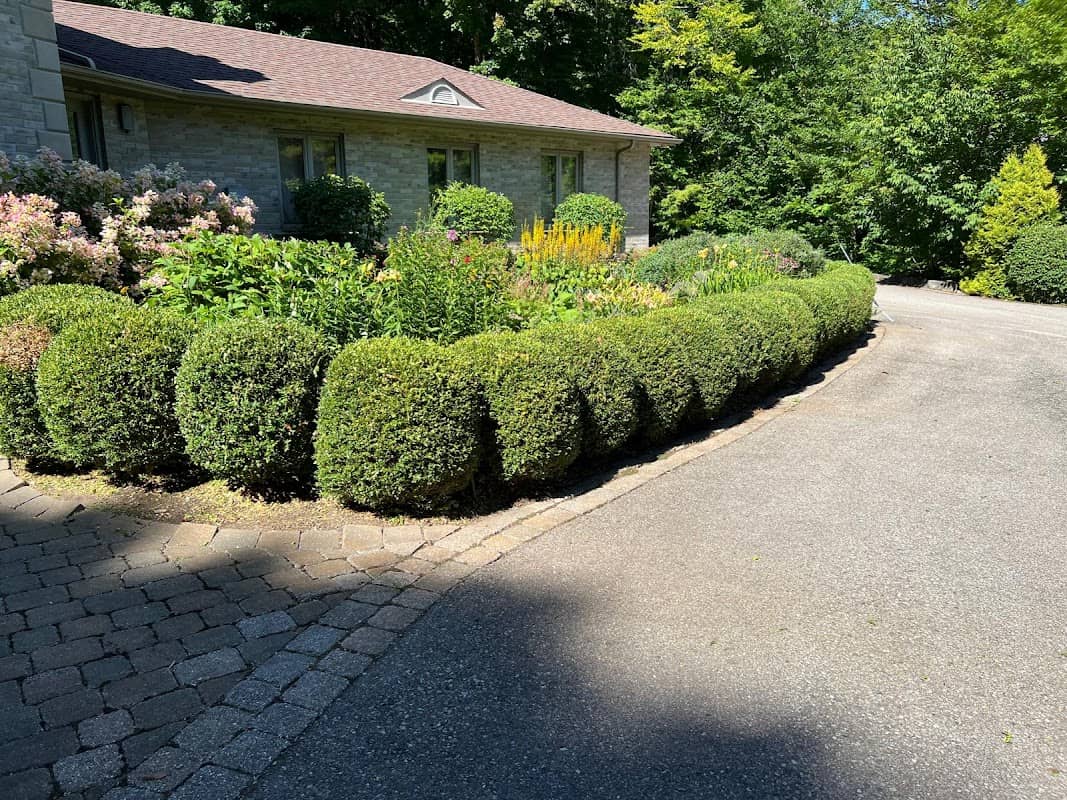 landscaping by Elite yard maintenance in Brampton