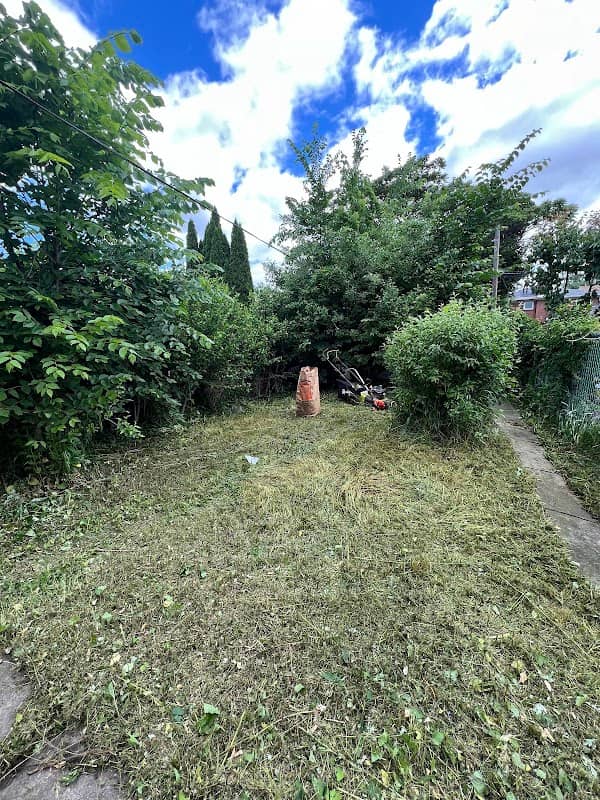 Elite yard maintenance, photograph 2 of Brampton