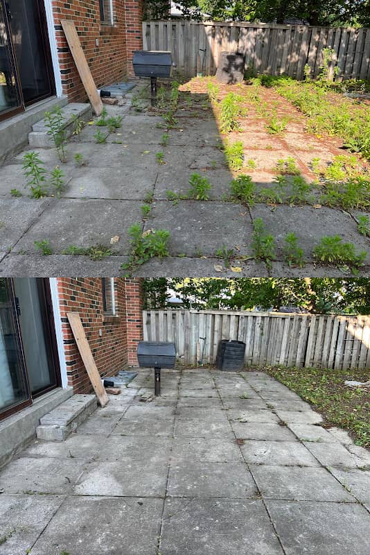 Elite yard maintenance, photograph 3 of Brampton
