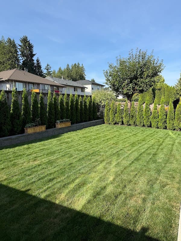 landscaping by Evergreen Exterior Services in Maple Ridge