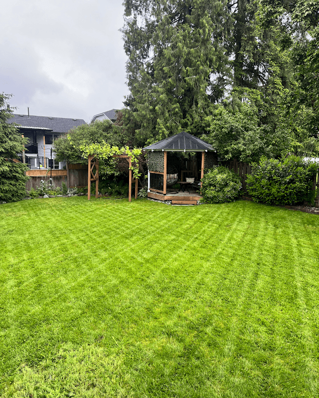 Evergreen Exterior Services, photograph 2 of Maple Ridge