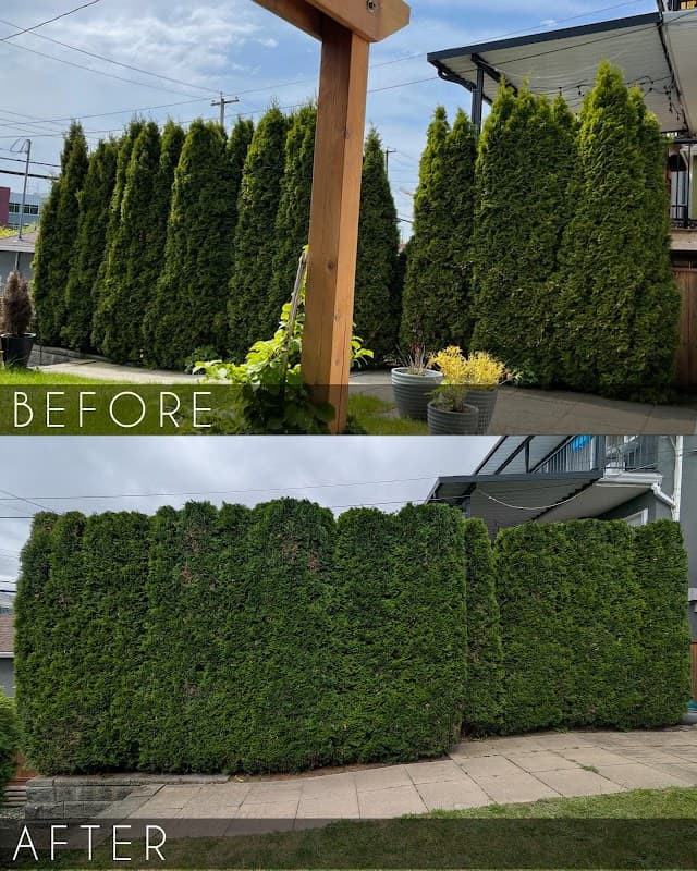landscaping by Everyday Landscape in Hastings-Sunrise