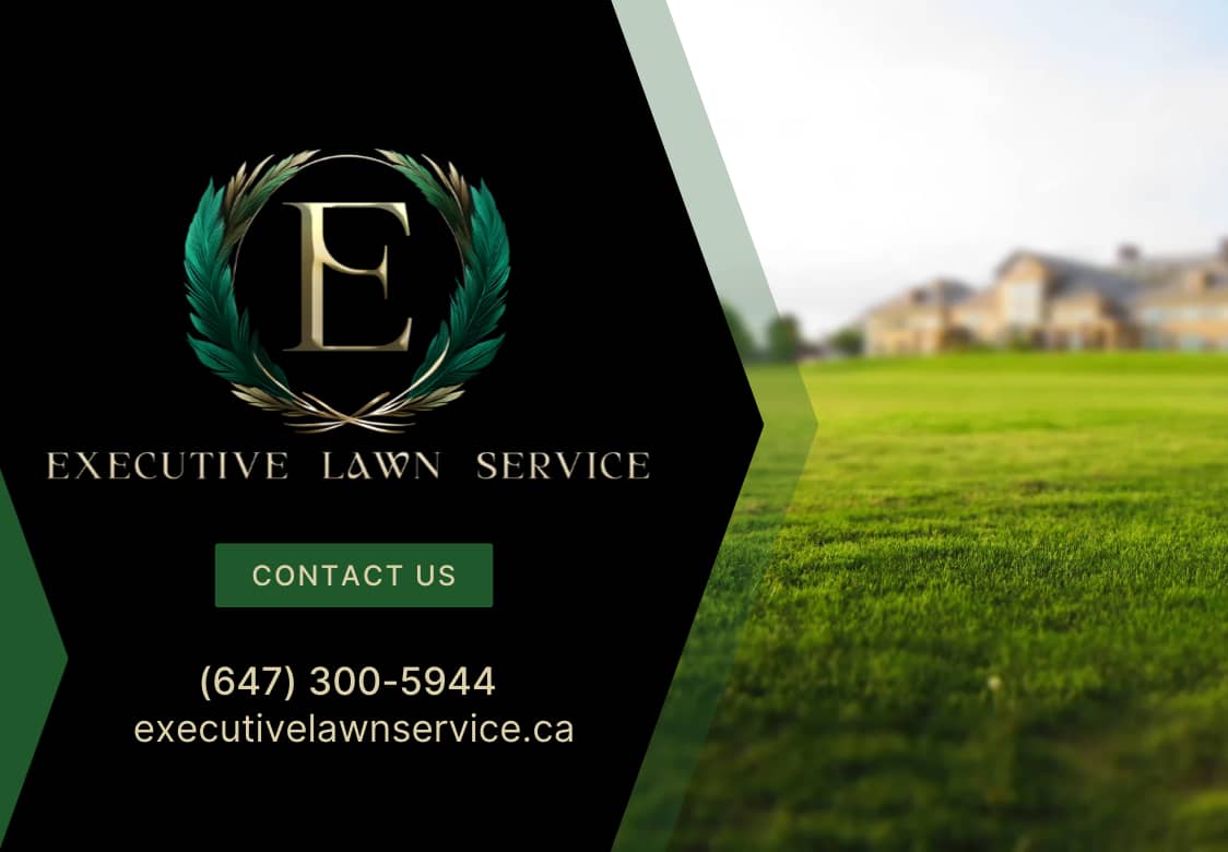 landscaping by Executive Lawn Service Inc. in Oakville