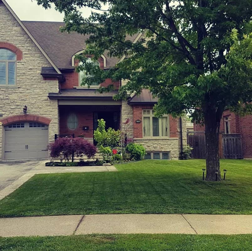 Executive Lawn Service Inc., photograph 3 of Oakville