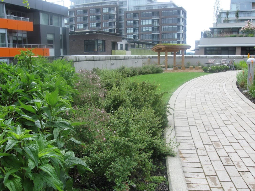 interlocking by Expert Stone Paving and Landscaping Ltd. in Cloverdale