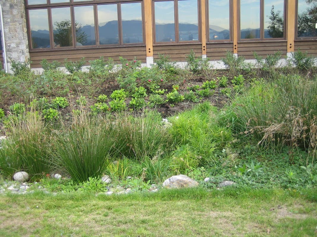 Expert Stone Paving and Landscaping Ltd., photograph 2 of Cloverdale