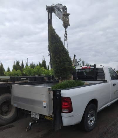 Fairgrounds Landscaping, photograph 2 of Pickering