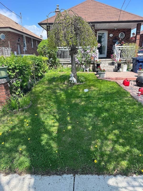 Farmer Landscaping, photograph 2 of Scarborough Town Centre